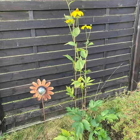 Inselstadt Apartmán *