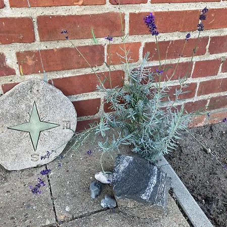 Apartmán Inselstadt