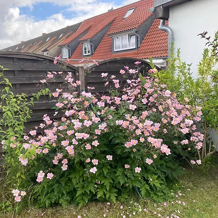 Apartmán Inselstadt *